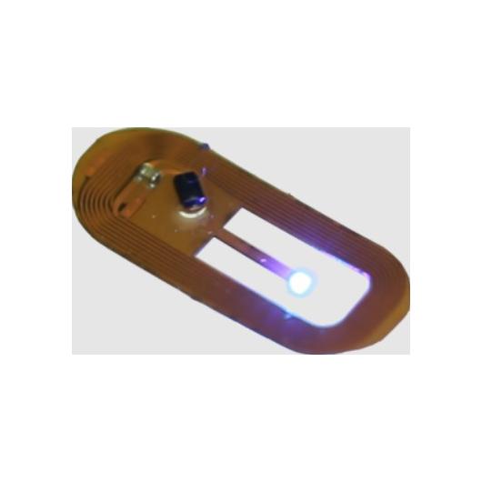 TSE Neurolux Spinal implant