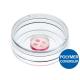 Micro-insert 4 well in µ-dish 35 mm, high
