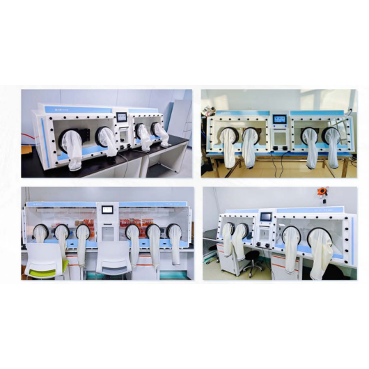 Anaerobic chambers YY-D&XD Plus installation