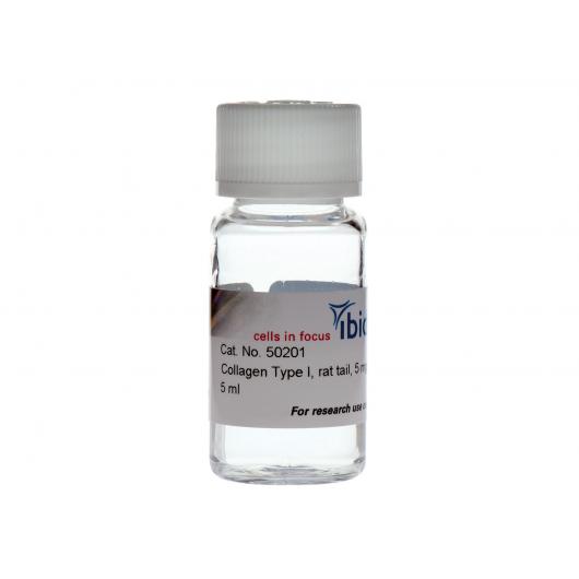 Collagen type I, rat tail