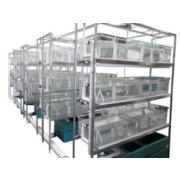 Xenopus modular systems requiring central filtration