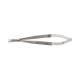 504492, Westcott Rounded Blade Scissors, Stainless Steel