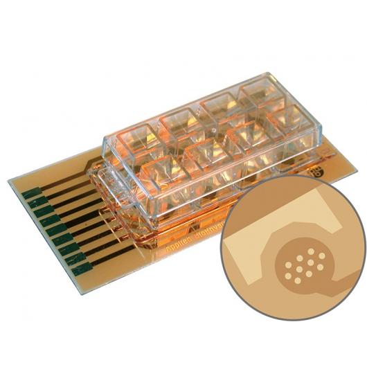 ECIS cultureware 8W10E PET