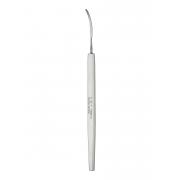 Iris spatulae