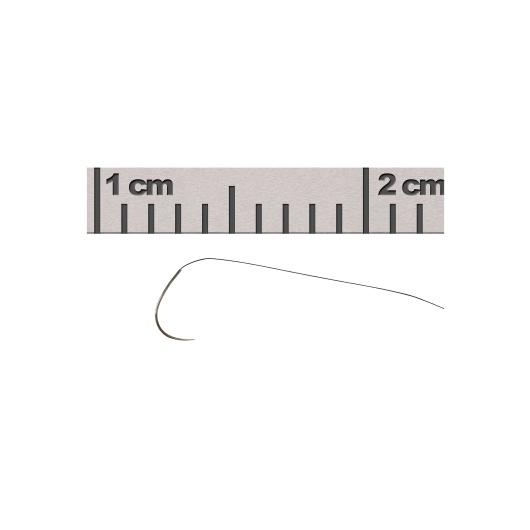 12051-10-w-Ruler.jpg