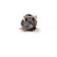 B6D2F1/Crl mouse