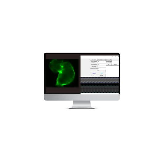zebrafish-cardiac-performance