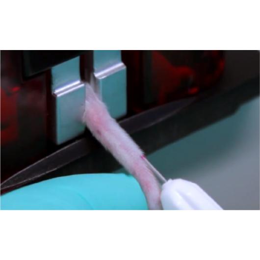 Somark digital_injectorinto tail