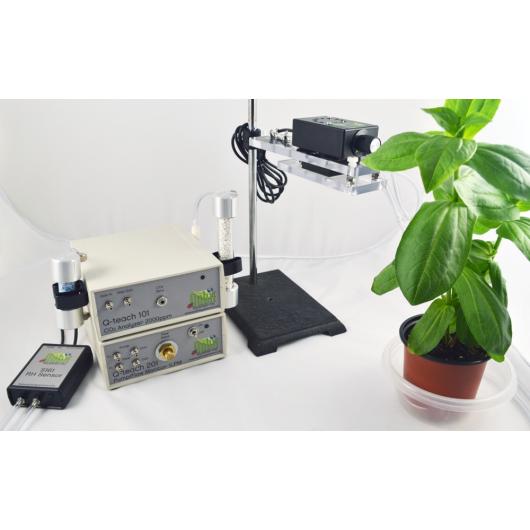 Q-teach-plant-3-a