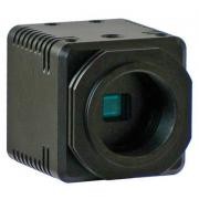 Color CCD Video Camera-COLCAM-HD1080P