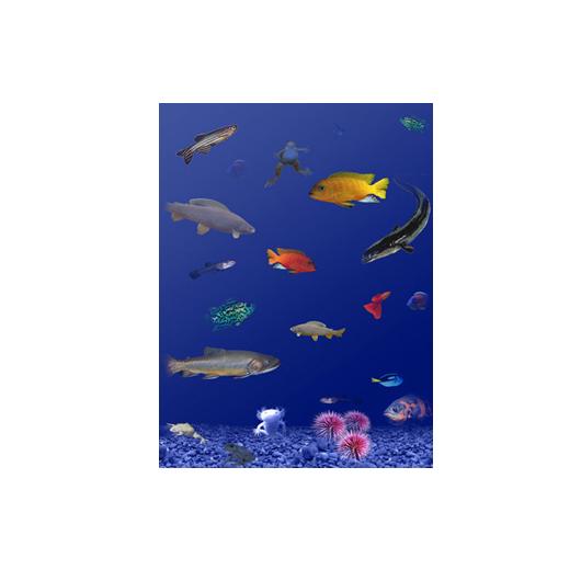 Aquatic Housing for Other Species