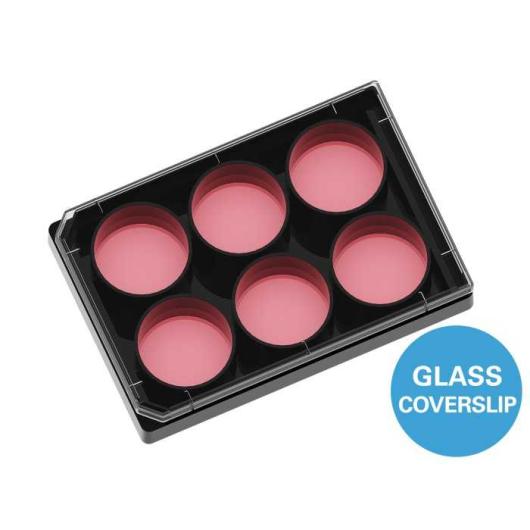 -plate-6-well-glass-bottom