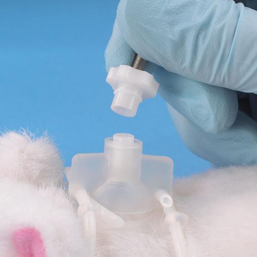One Channel Vascular Access Harness™ for Rats