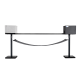 48303-Balance-Beam-Walking-Test-Mice-Big-Rod