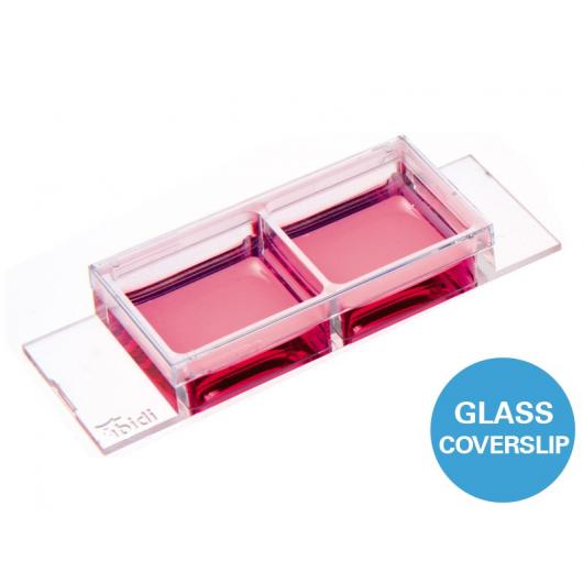 µ-Slide 2 well glass bottom