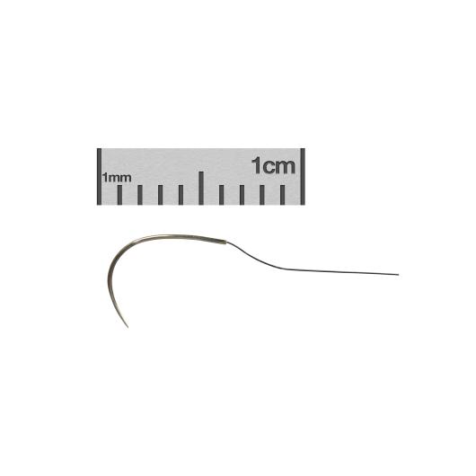 12051-08-ruler-C.jpg