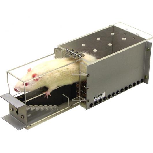 Rat Staircase Model 80300