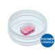 Culture-Insert 3 well in µ-dish 35 mm, high