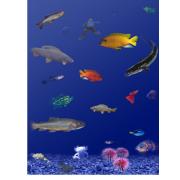 Aquatic housing for other species