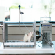 Instech Self-administration cage_rat