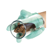Clear Handling Tube