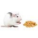 Altromin diet on Charles River recipe