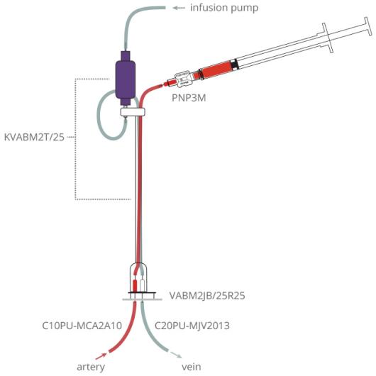 mouse_continuous_infusion_plus_blood_sampling