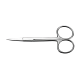 Dissecting-scissors-straight