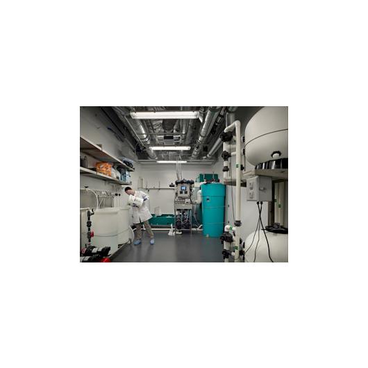 Customized Central Filtration System Configurations