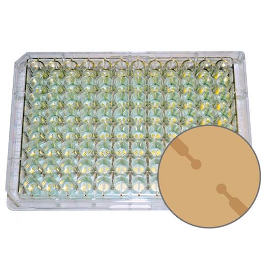 ECIS cultureware 96W1E+ PET