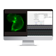 Zebrafish Cardiac Performance