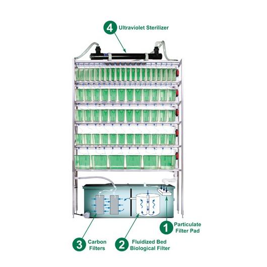 zebrafish_rack_filtration_system.jpg