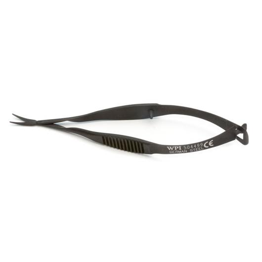 504499, Vannas Tubingen type Curved