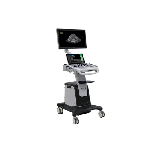 xray6