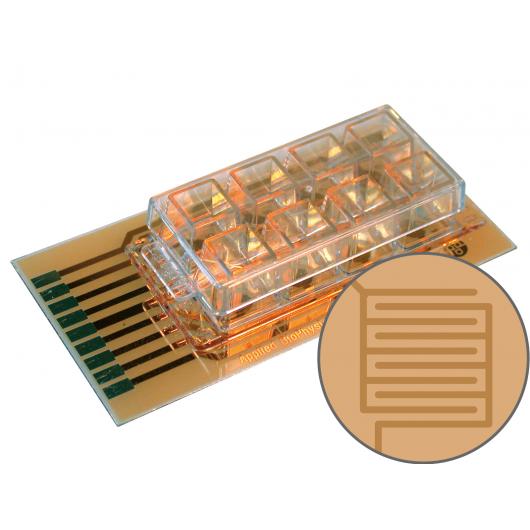 ECIS cultureware 8w20idf PET