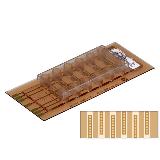 ECIS flow array 6 channel µ-Slide 6x10e (6F10E) PC