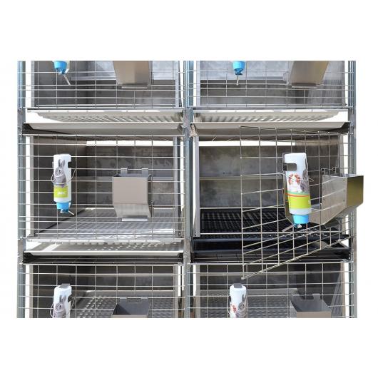 velaz_ak_rabbit_cageii.jpg