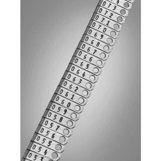 24220-10-strip-C.jpg
