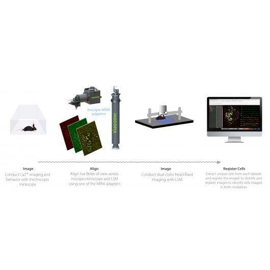 MIRA WORKFLOW_EN