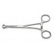 504218, Babcock Tissue Forceps, 6"