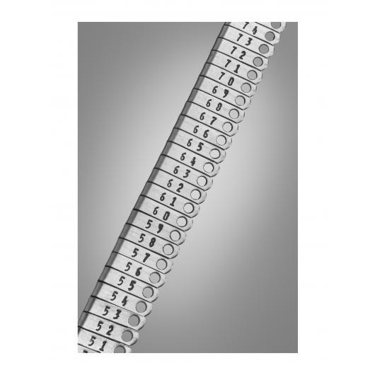 24220-10-strip.jpg