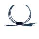 Bifurcated Fiber Optic Assemblies