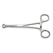 Babcock tissue forceps, 6"
