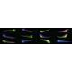 Zebrafish collage_12564x2796_v4