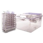 NexGen IVC for rats 900