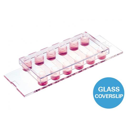 µ-Slide VI 0.5 glass bottom