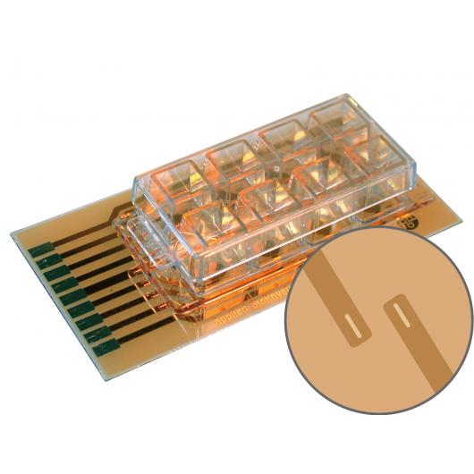 ECIS cultureware 8W2LE PET