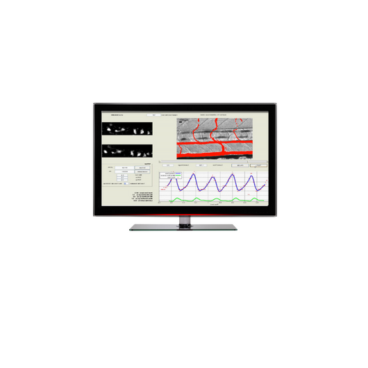 microzebralab-2