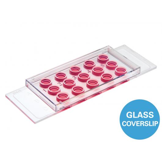 µ-Slide angiogenesis glass bottom