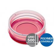 µ-Dish 35 mm, high Grid-500, polymer coverslip